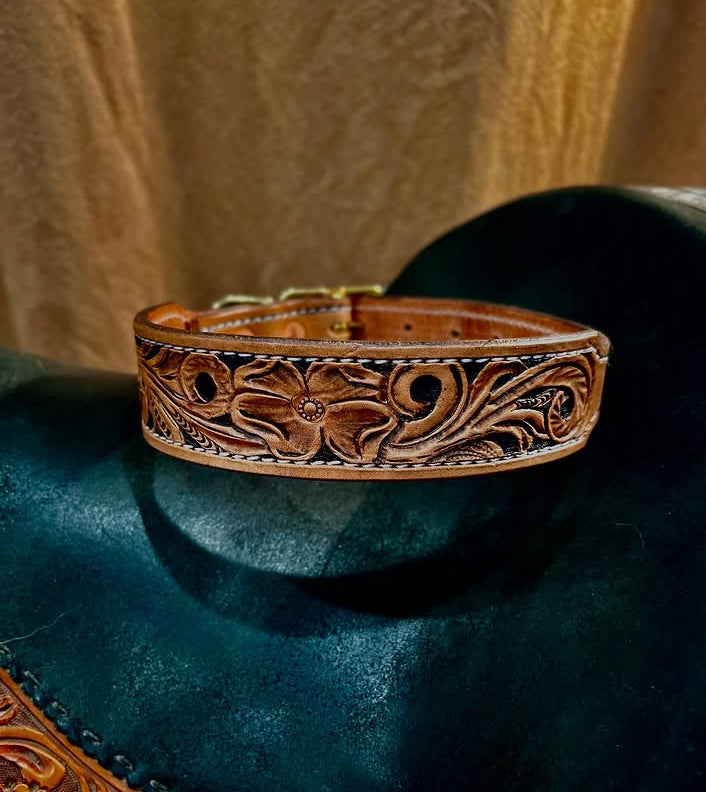 Medium custom dog collar