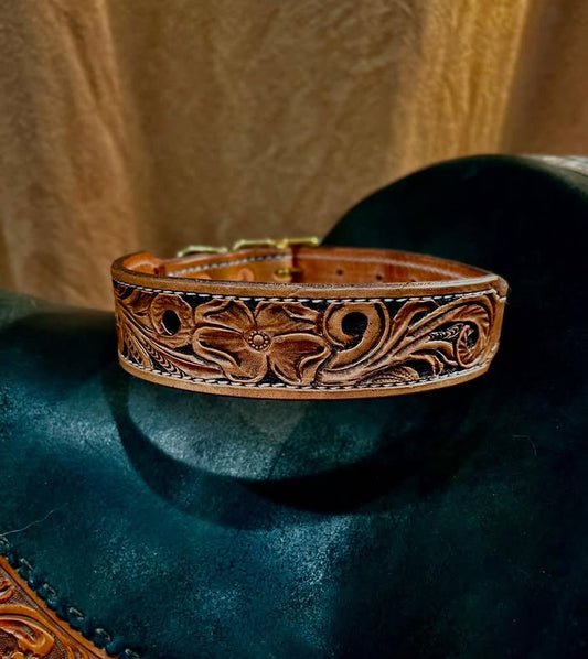 Medium custom dog collar